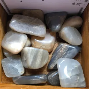 Black Moonstone - Tumble Stone