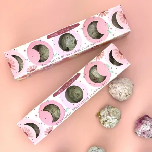 Moon Phase Wildflower Planting Set - Seed Balls