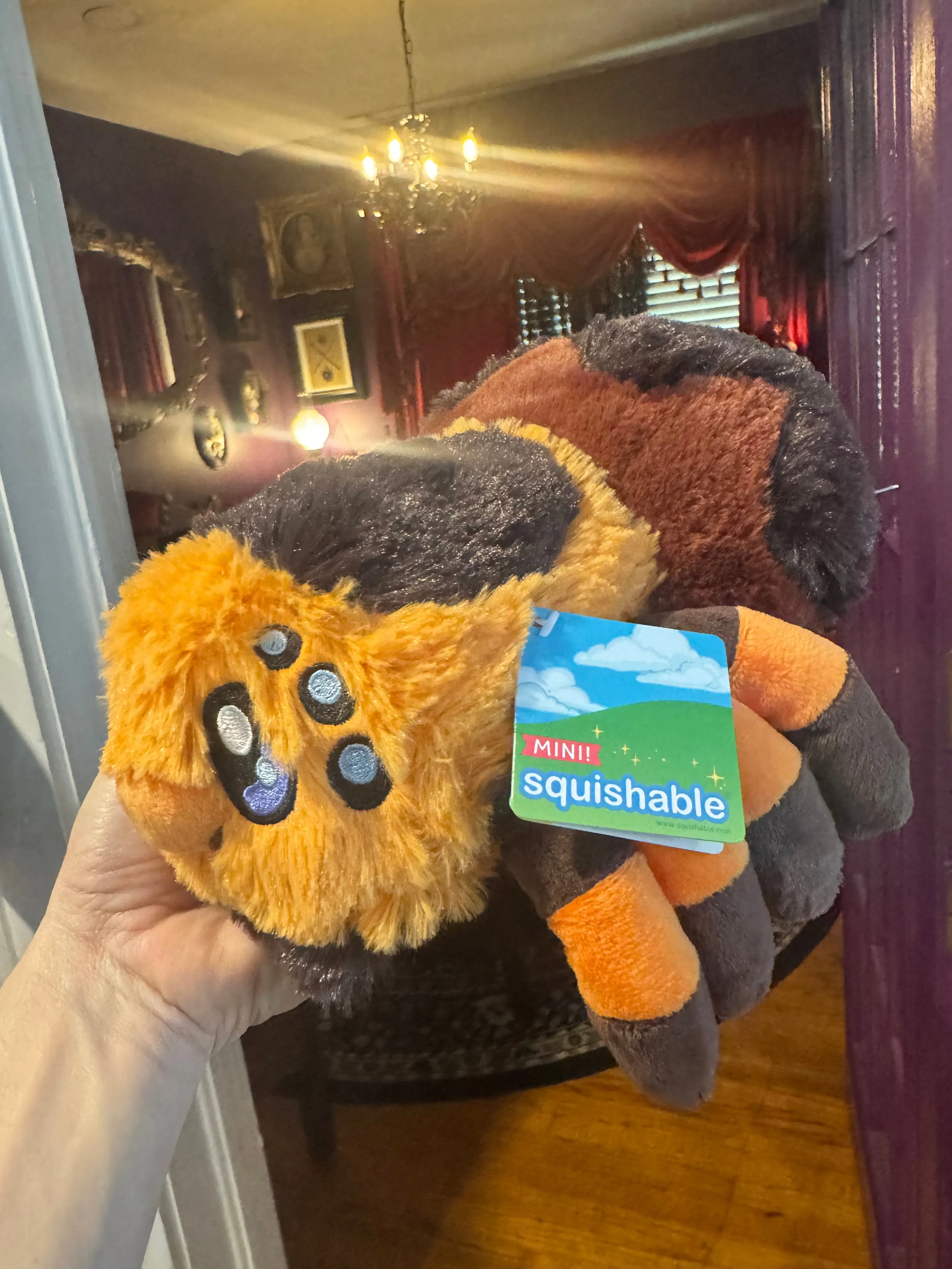 Tarantula Spider Stuffie - Plush Toy - Mini Squishable - Soft
