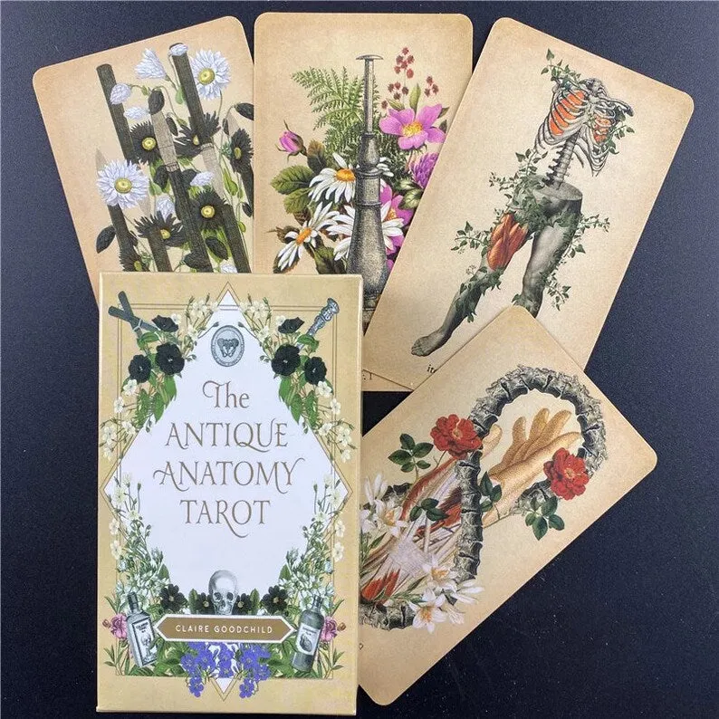 The Antique Anatomy Tarot by Claire Goodchild