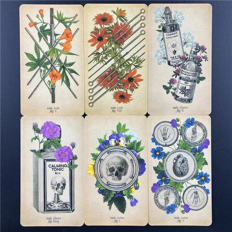 The Antique Anatomy Tarot by Claire Goodchild