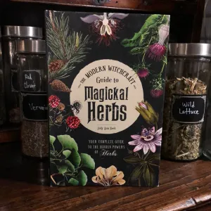 The Modern Witchcraft Guide to Magickal Herbs by Judy Ann Nock