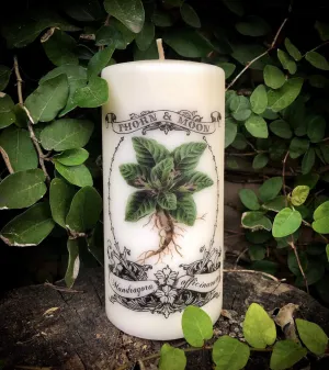 Thorn & Moon Candle - Mandrake - The Poison Garden Collection - Mandragora officinarum - Baneful - Decorative 6" Pillar