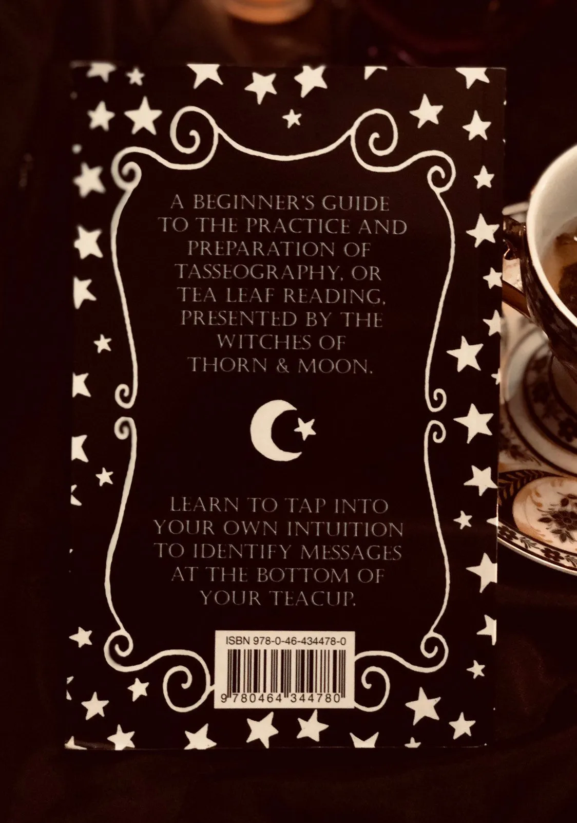 Thorn & Moon E-Book - Tasseography - The Art of Tea Leaf Reading - Beginner's Guide - PDF Digital Download