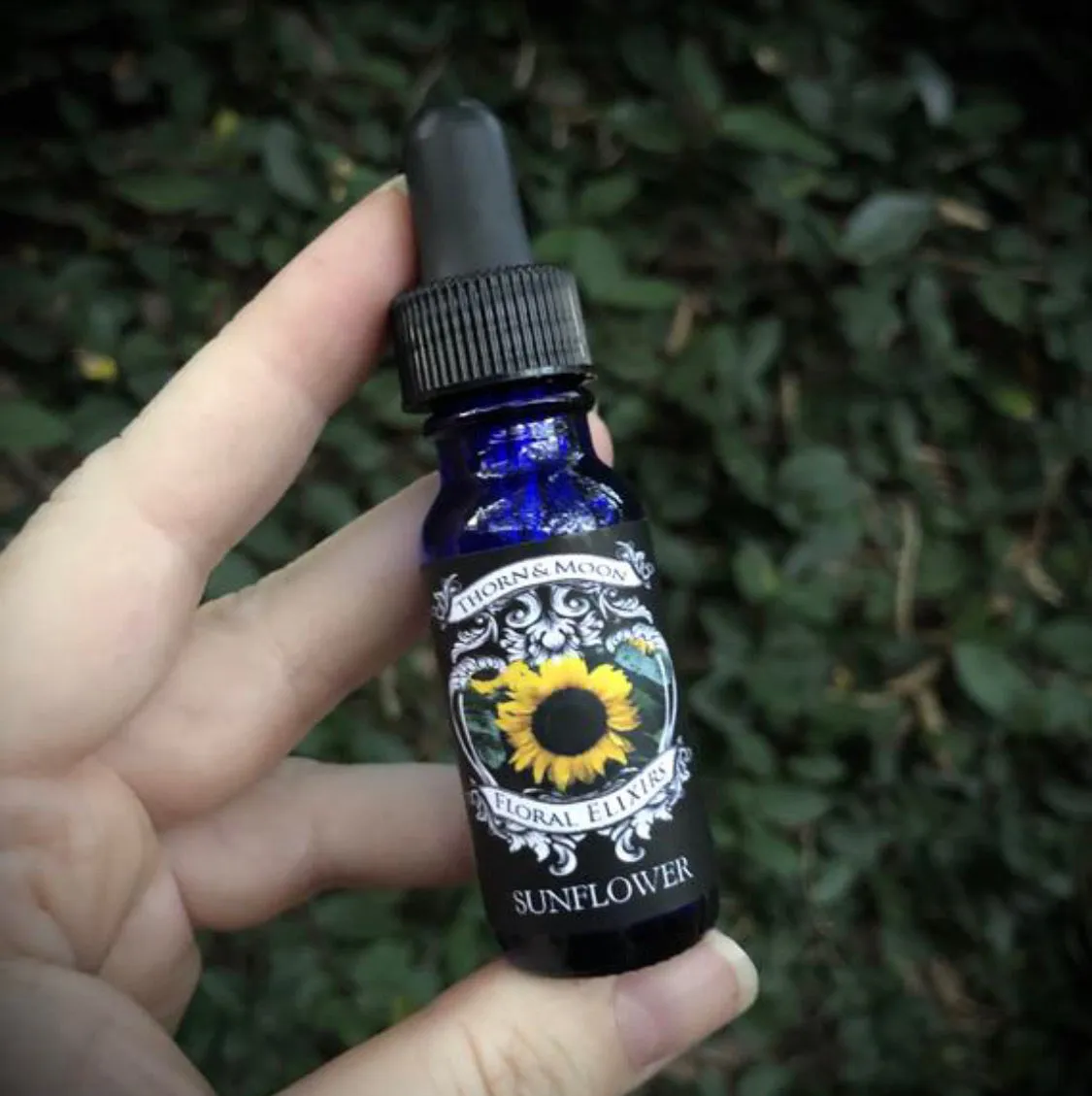 Thorn & Moon Floral Elixirs - Sunflower - Flower Essence