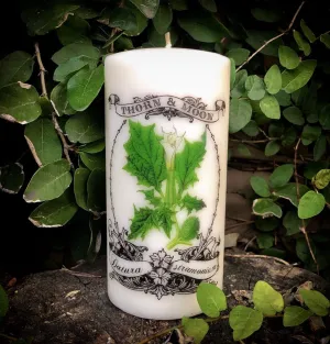 Thorn & Moon Moonflower Candle- The Poison Garden Collection - Datura stramonium - Thornapple - Baneful Flora - Decorative 6" Pillar Candle