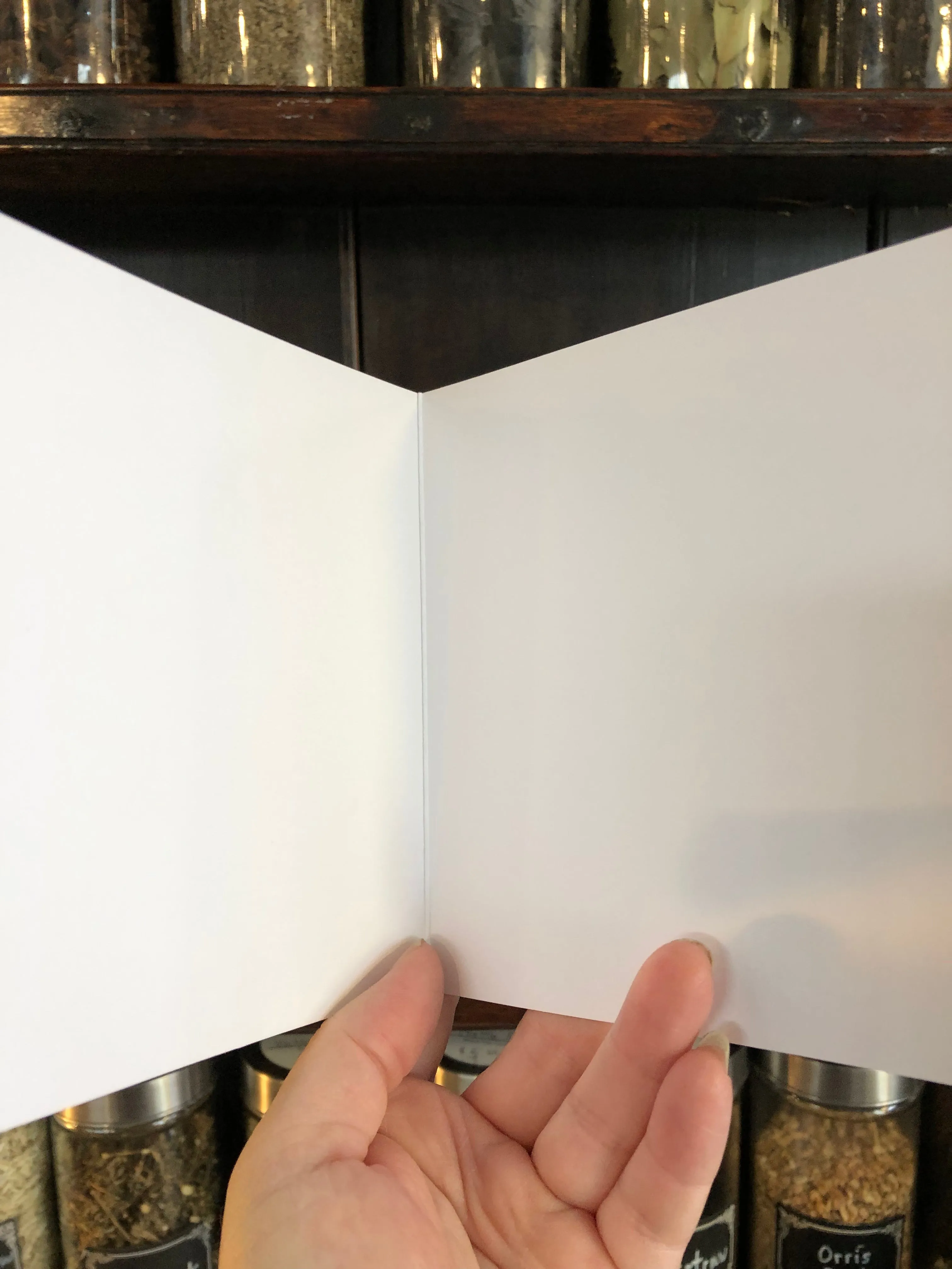 Til Death Do Us Part - Spooky Wedding / Valentine / Valloween - Holiday Greeting Card